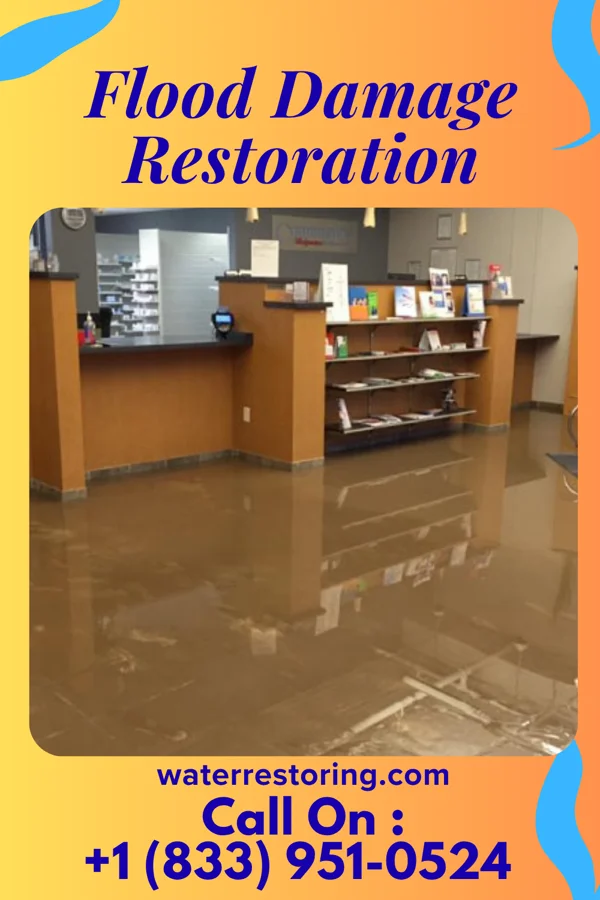 Flood Damage Restoration in Dundarrach, NC