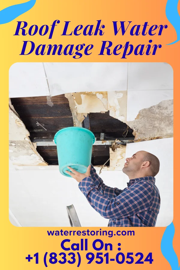 Roof Leak Water Damage Repair in Dundarrach, NC