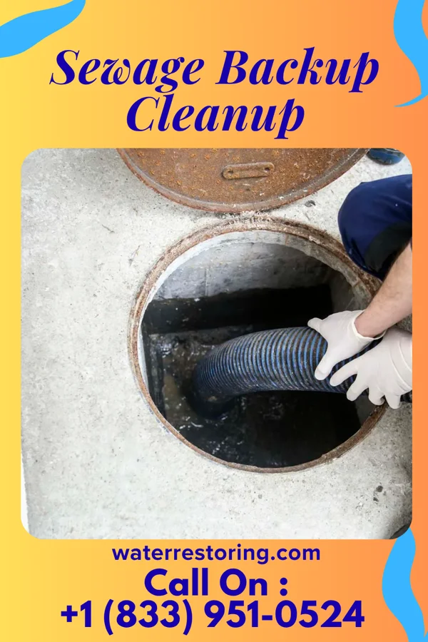 Sewage Backup Cleanup in Dundarrach, NC